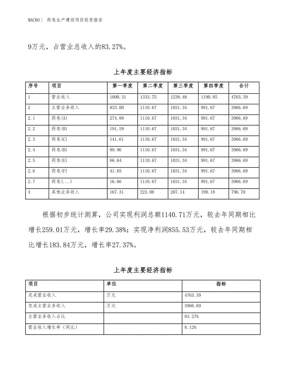 药皂生产建设项目投资报告_第5页