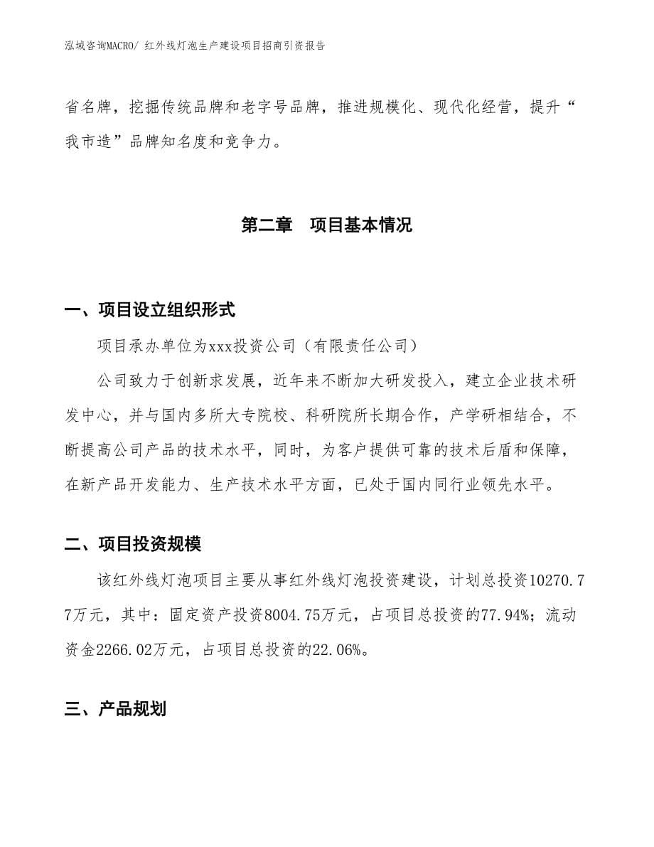 红外线灯泡生产建设项目招商引资报告(总投资10270.77万元)_第5页