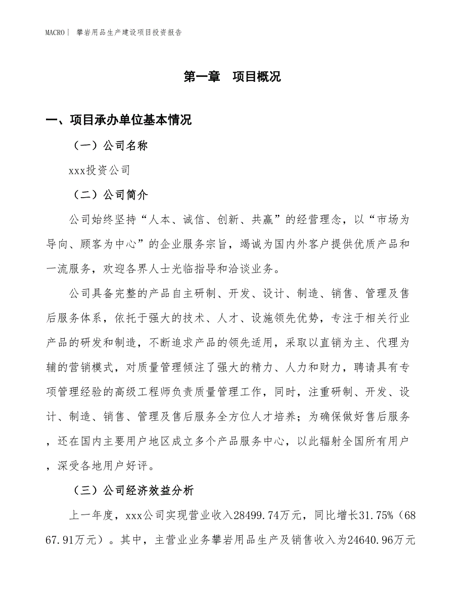 攀岩用品生产建设项目投资报告_第4页