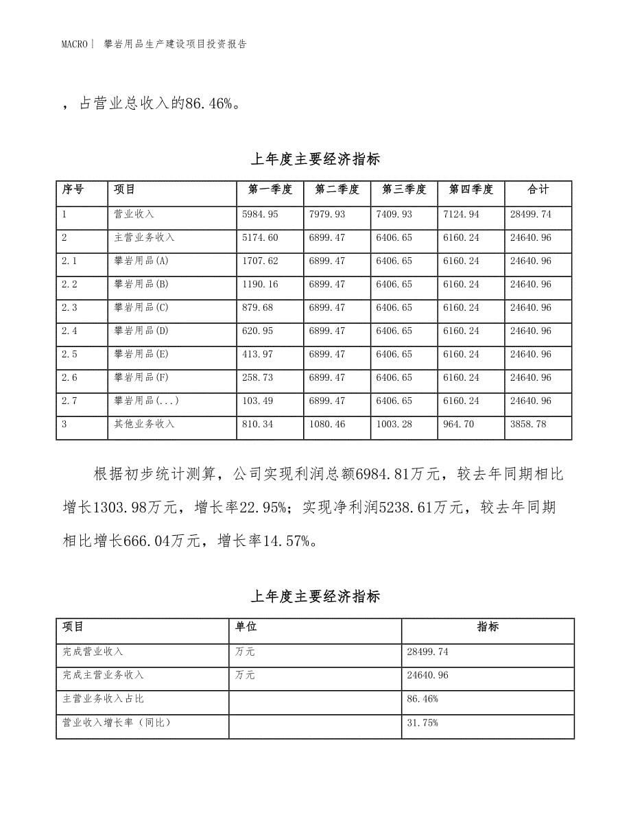 攀岩用品生产建设项目投资报告_第5页