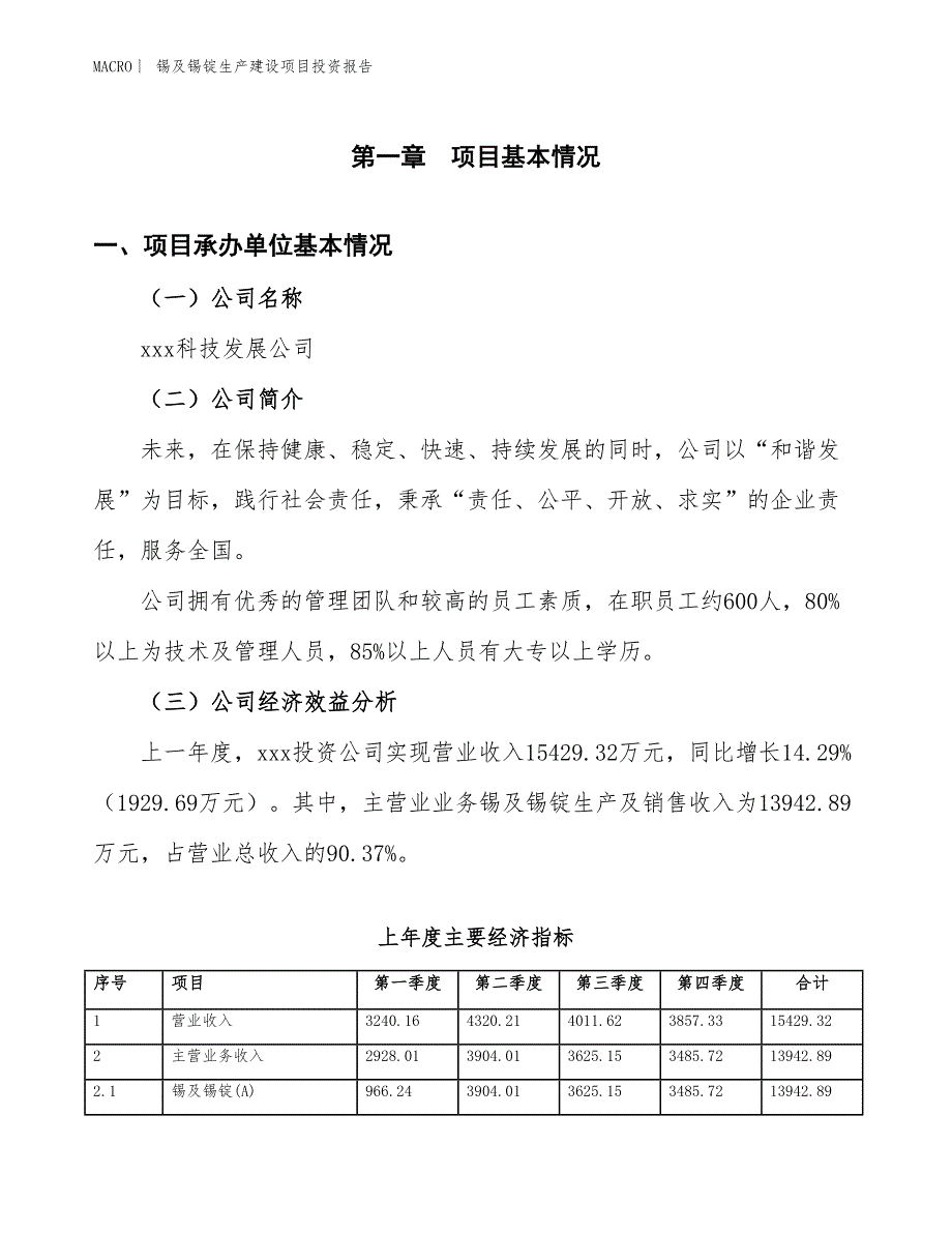 锡及锡锭生产建设项目投资报告_第4页