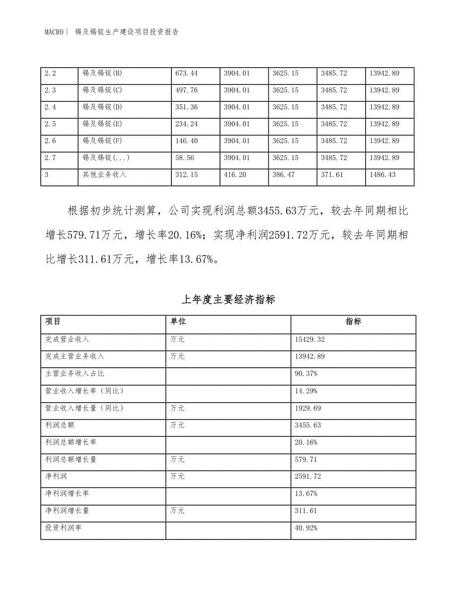 锡及锡锭生产建设项目投资报告_第5页