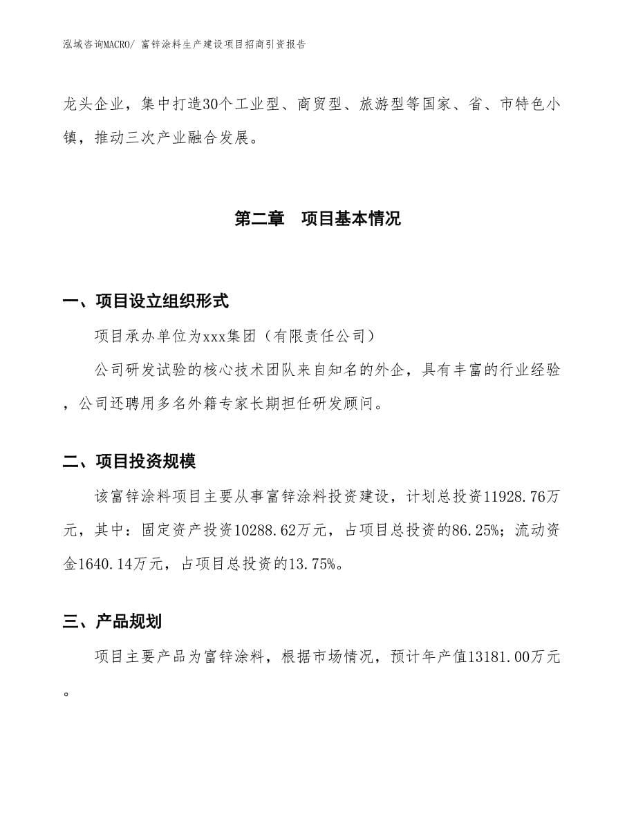 富锌涂料生产建设项目招商引资报告(总投资11928.76万元)_第5页