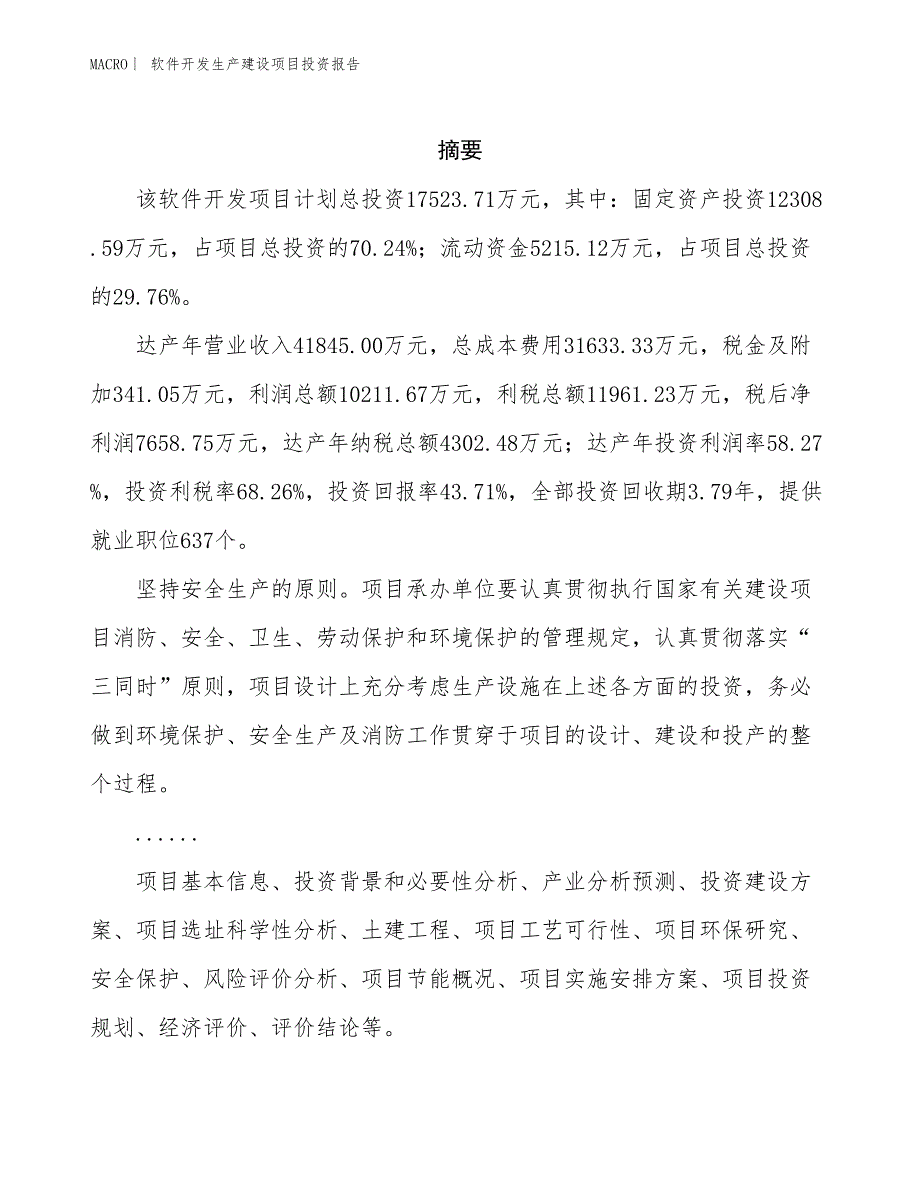 软件开发生产建设项目投资报告_第2页