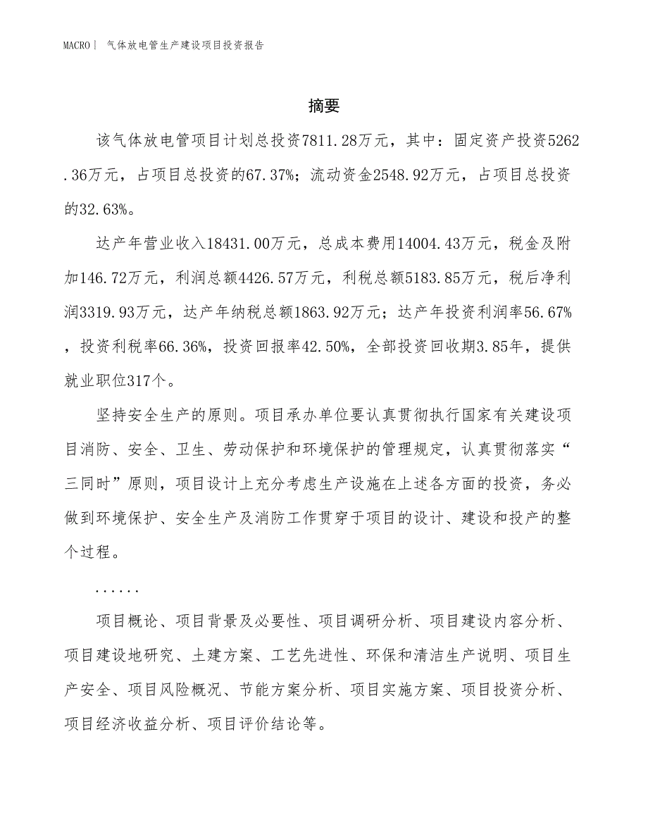 气体放电管生产建设项目投资报告_第2页