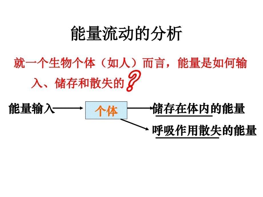 生物512《生态系统的能量流动》ppt课件（新人教版必修3）_第5页