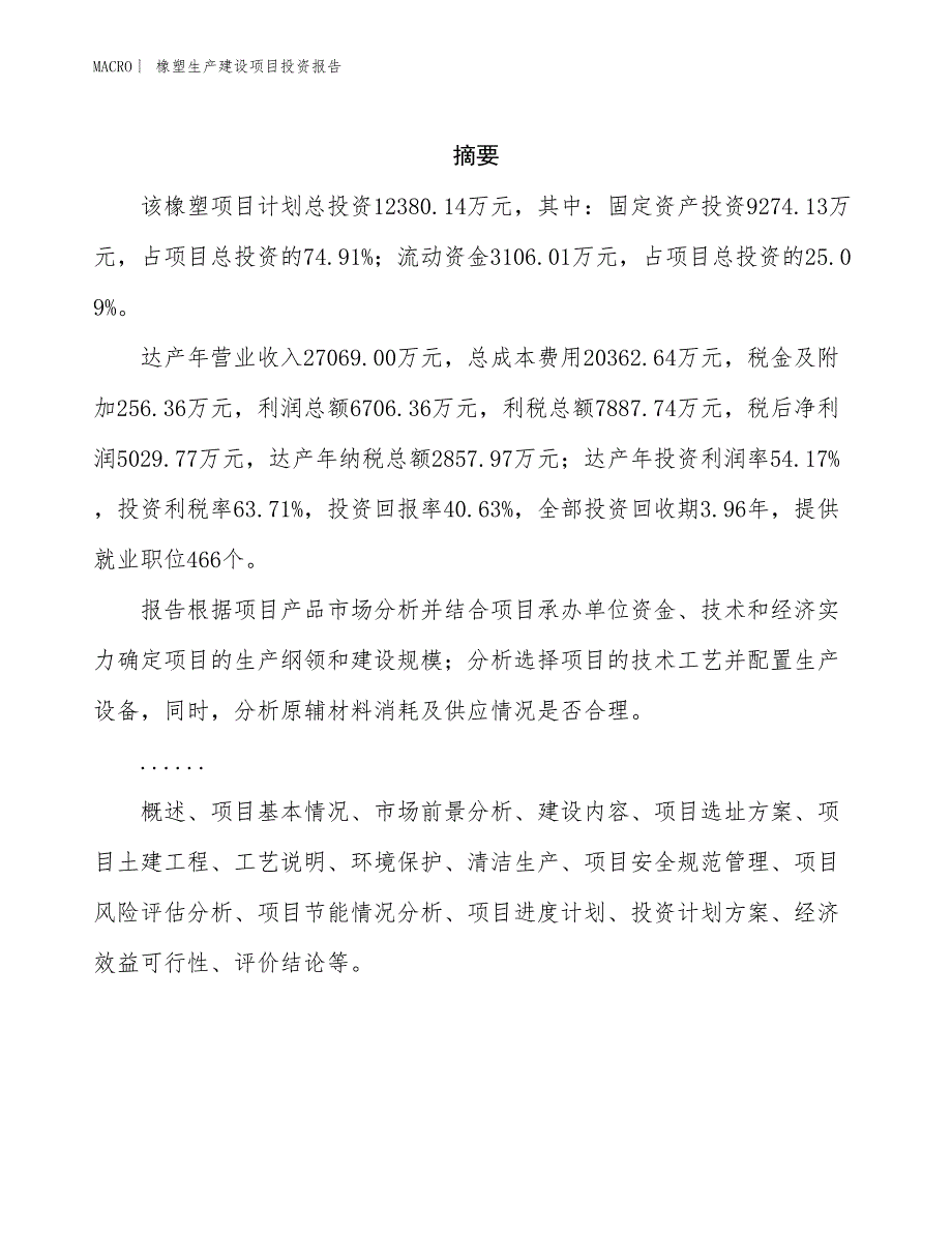 橡塑生产建设项目投资报告_第2页