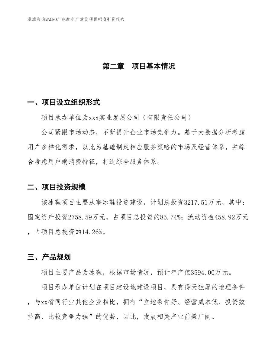 冰鞋生产建设项目招商引资报告(总投资3217.51万元)_第5页