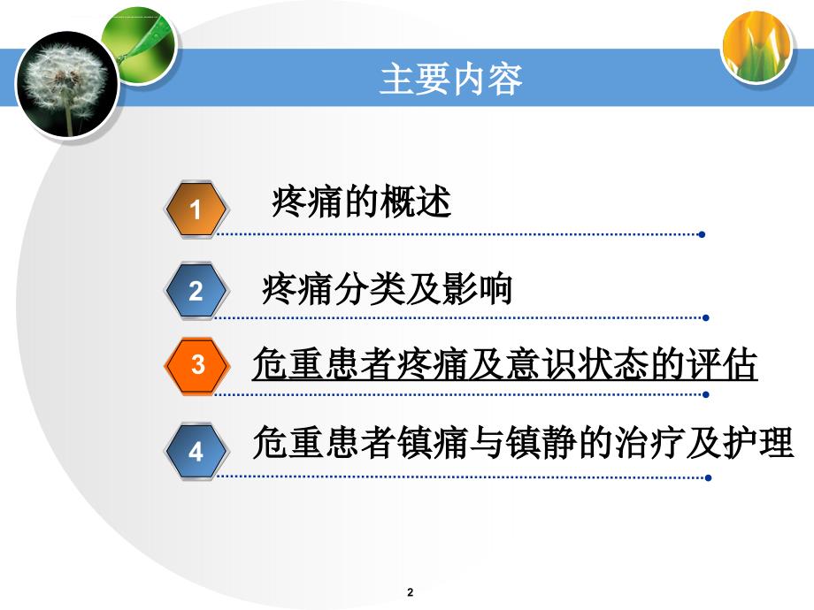 危重患者的疼痛护理(邱猜)_第2页