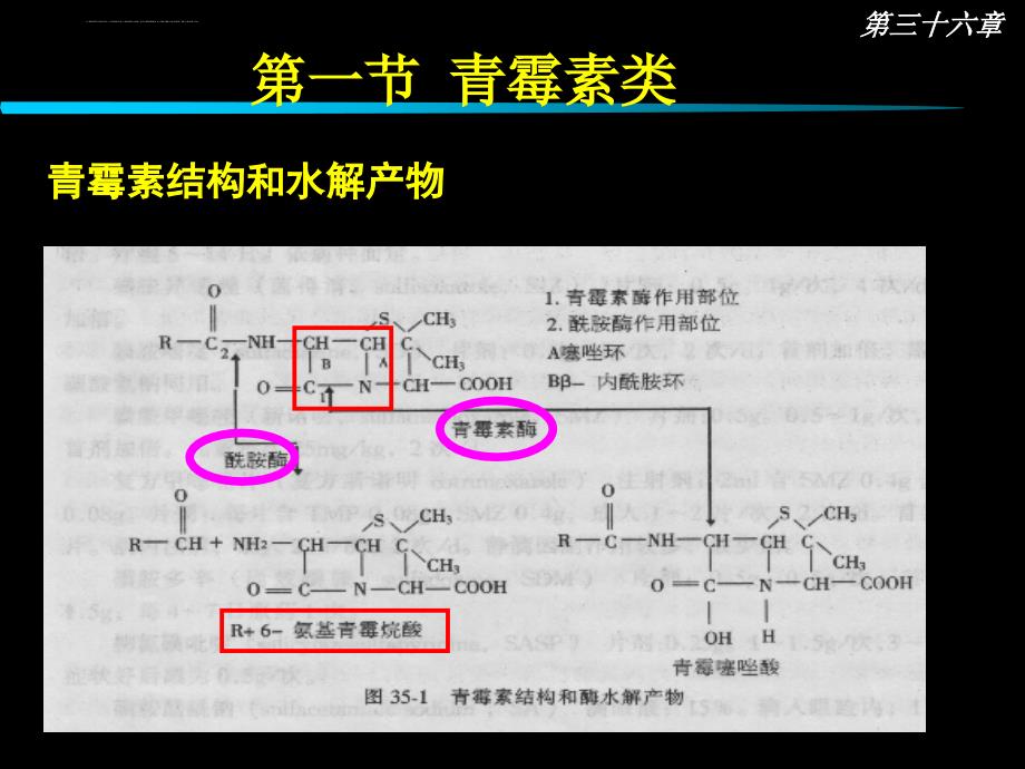 内酰胺类抗生素_13 (2)_第3页