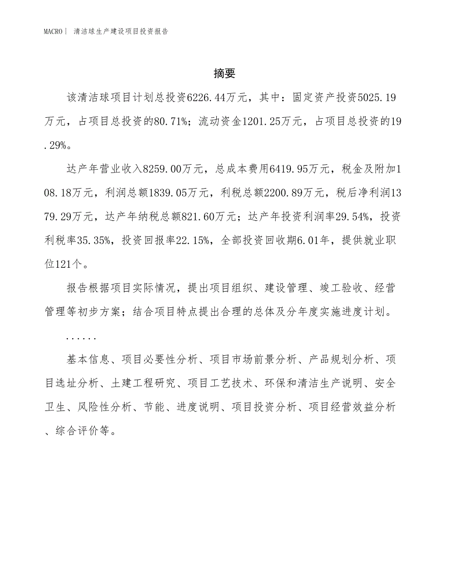 清洁球生产建设项目投资报告_第2页