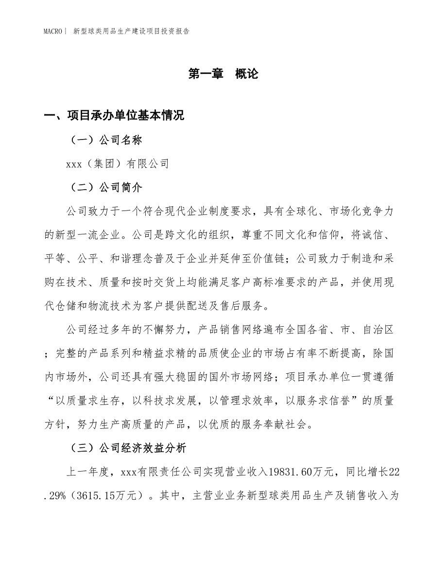 新型球类用品生产建设项目投资报告_第4页