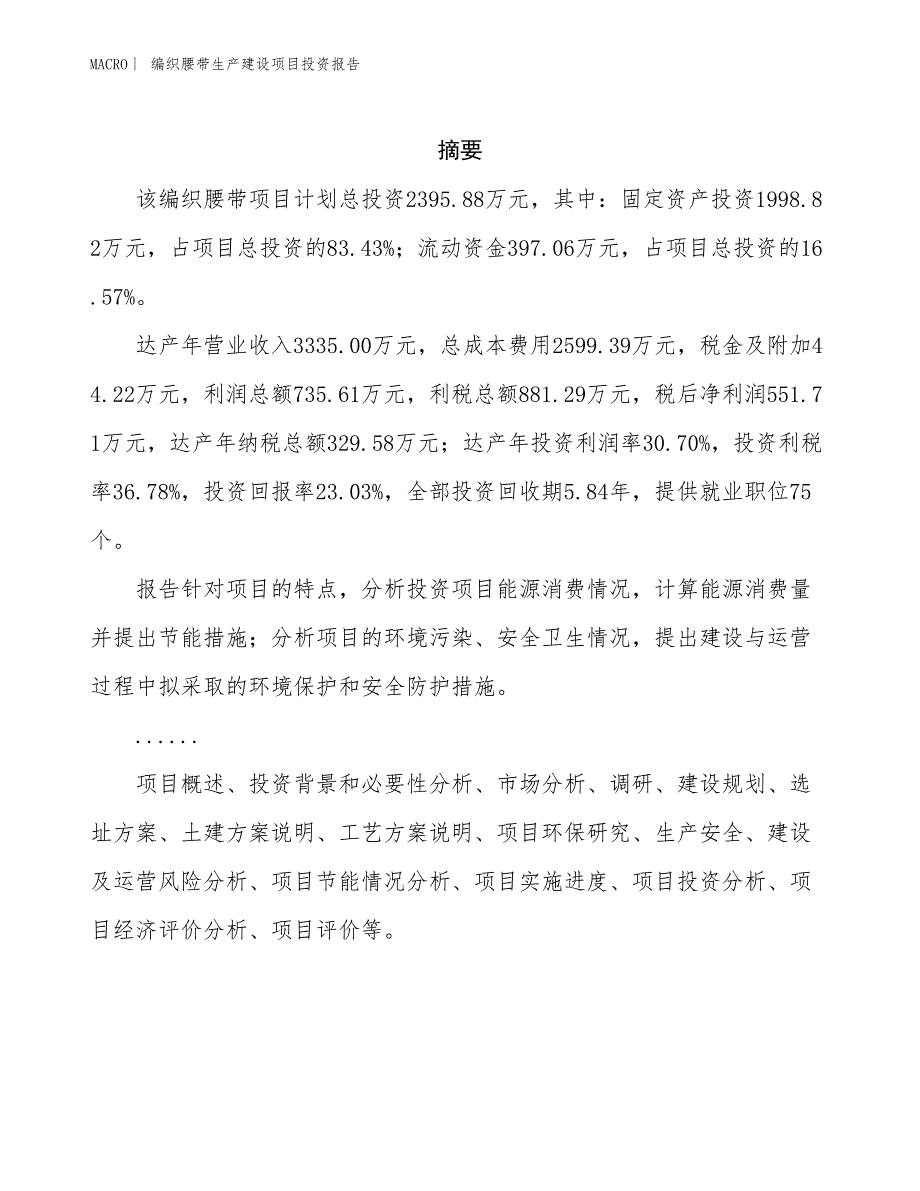 编织腰带生产建设项目投资报告_第2页