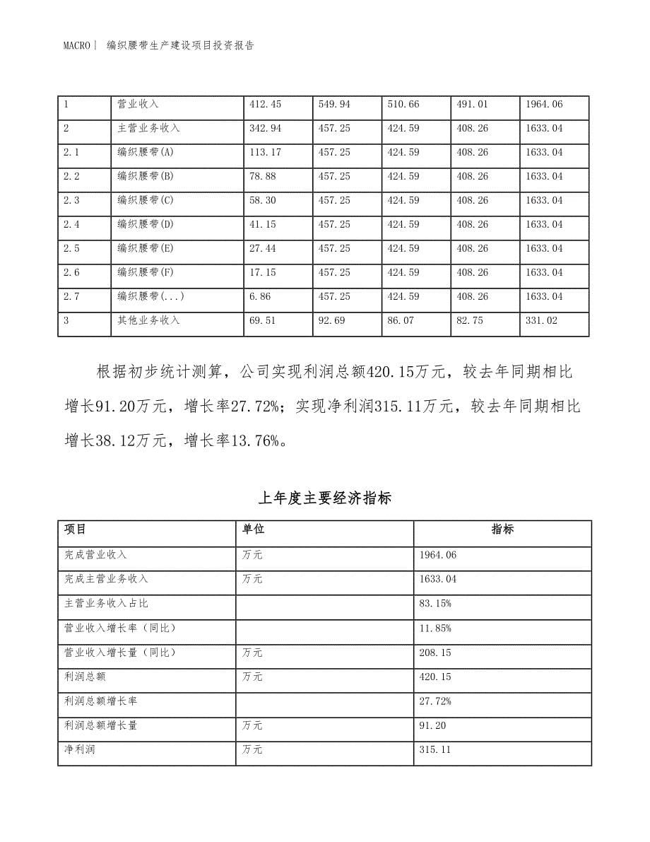 编织腰带生产建设项目投资报告_第5页