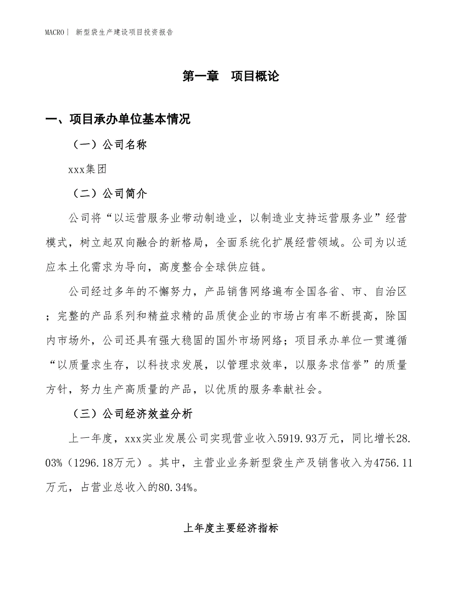 新型袋生产建设项目投资报告_第4页