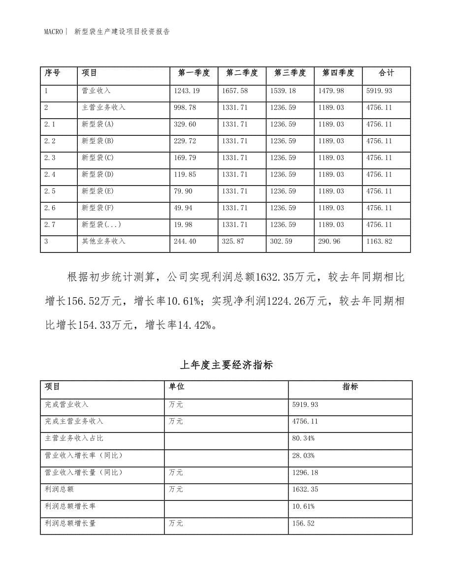 新型袋生产建设项目投资报告_第5页