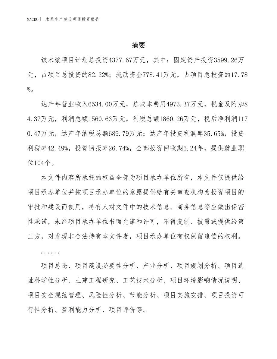 木浆生产建设项目投资报告_第2页