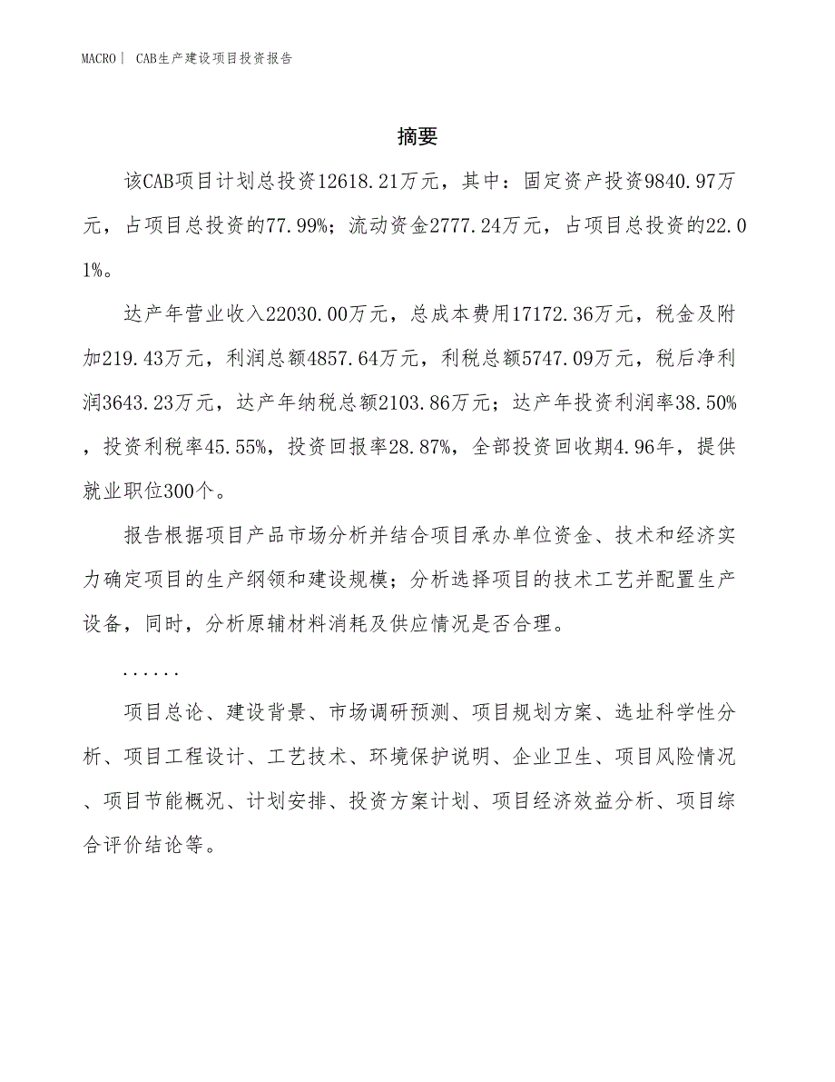 CAB生产建设项目投资报告_第2页