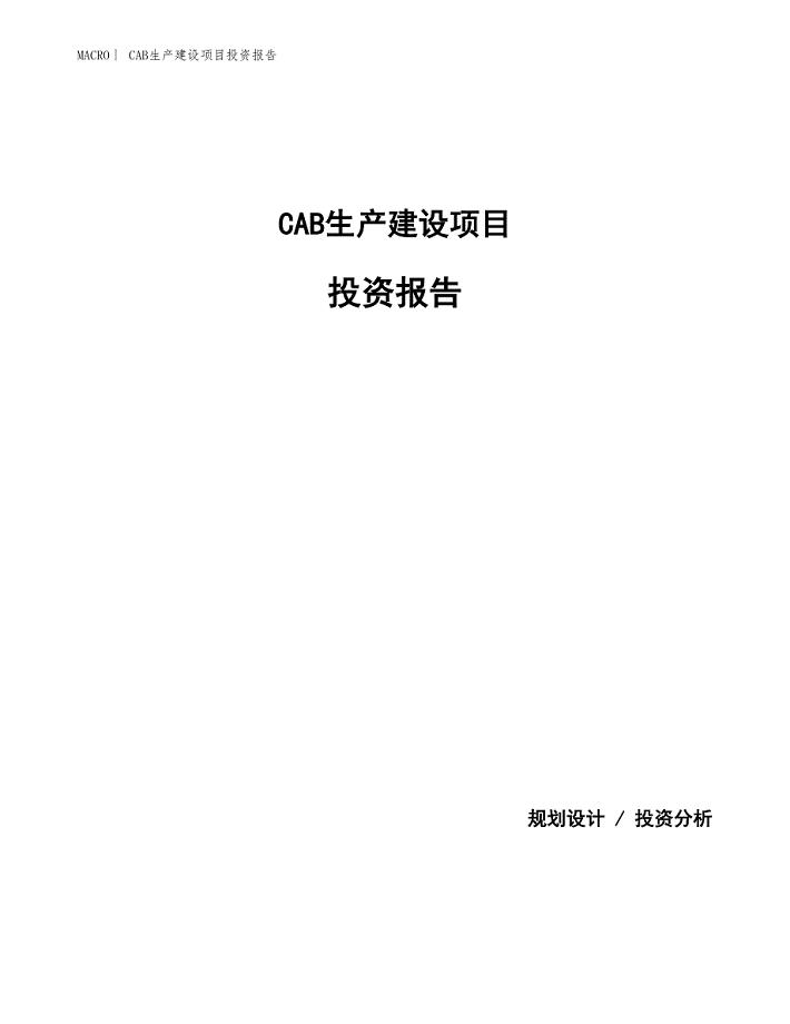 CAB生产建设项目投资报告