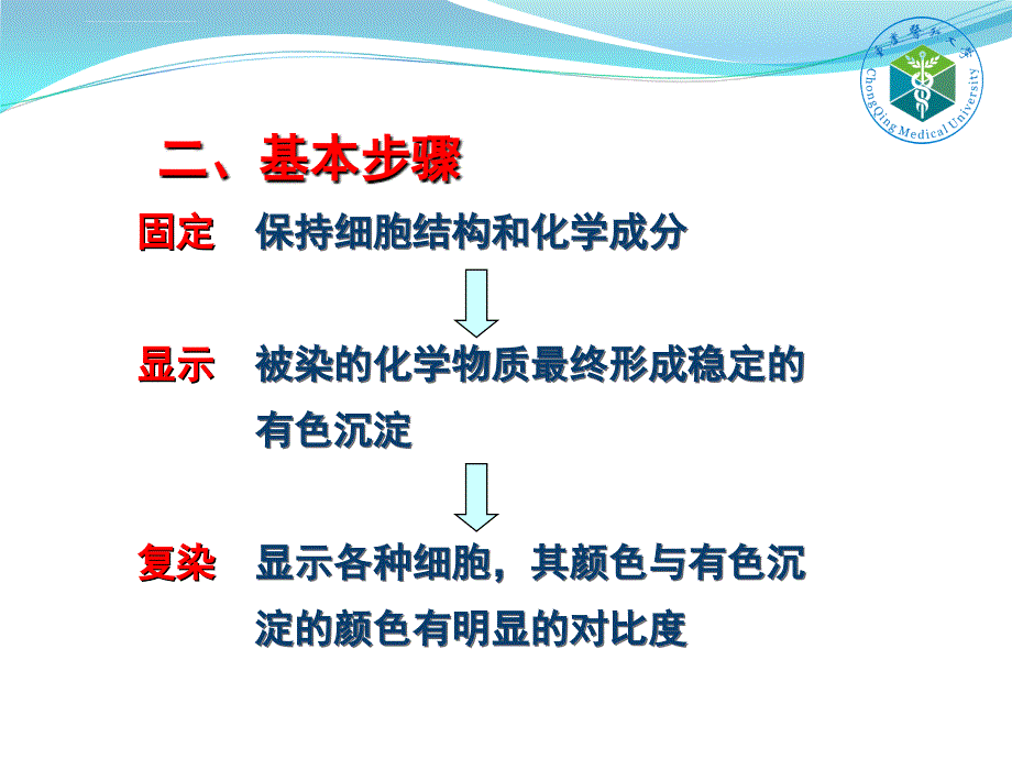 细胞化学染色 (2)_第4页