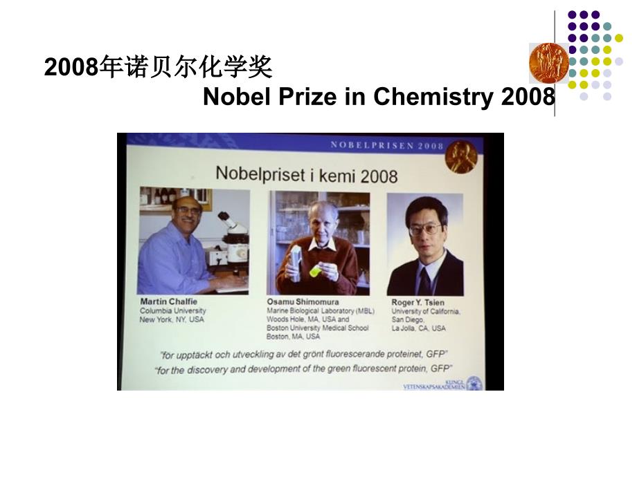 2008年诺贝尔化学奖_第1页