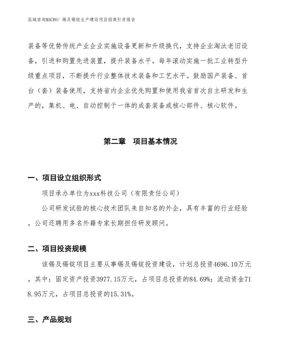 锡及锡锭生产建设项目招商引资报告(总投资4696.10万元)_第5页