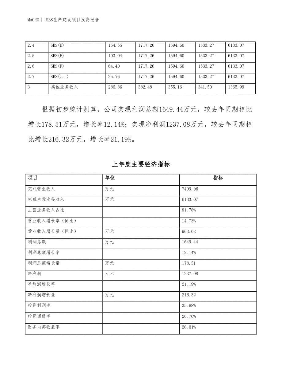 SBS生产建设项目投资报告_第5页