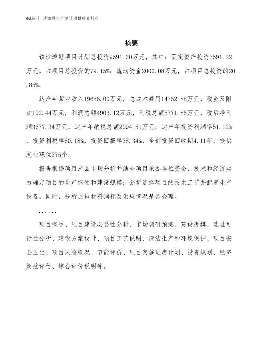 沙滩鞋生产建设项目投资报告_第2页