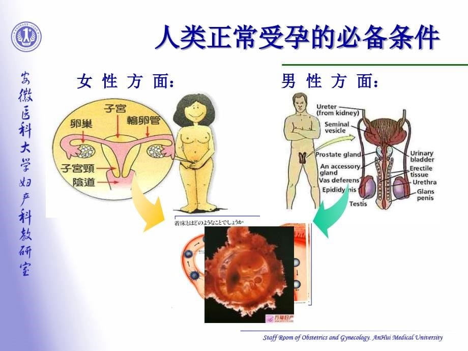 辅助生殖配套课程-(7)_第5页