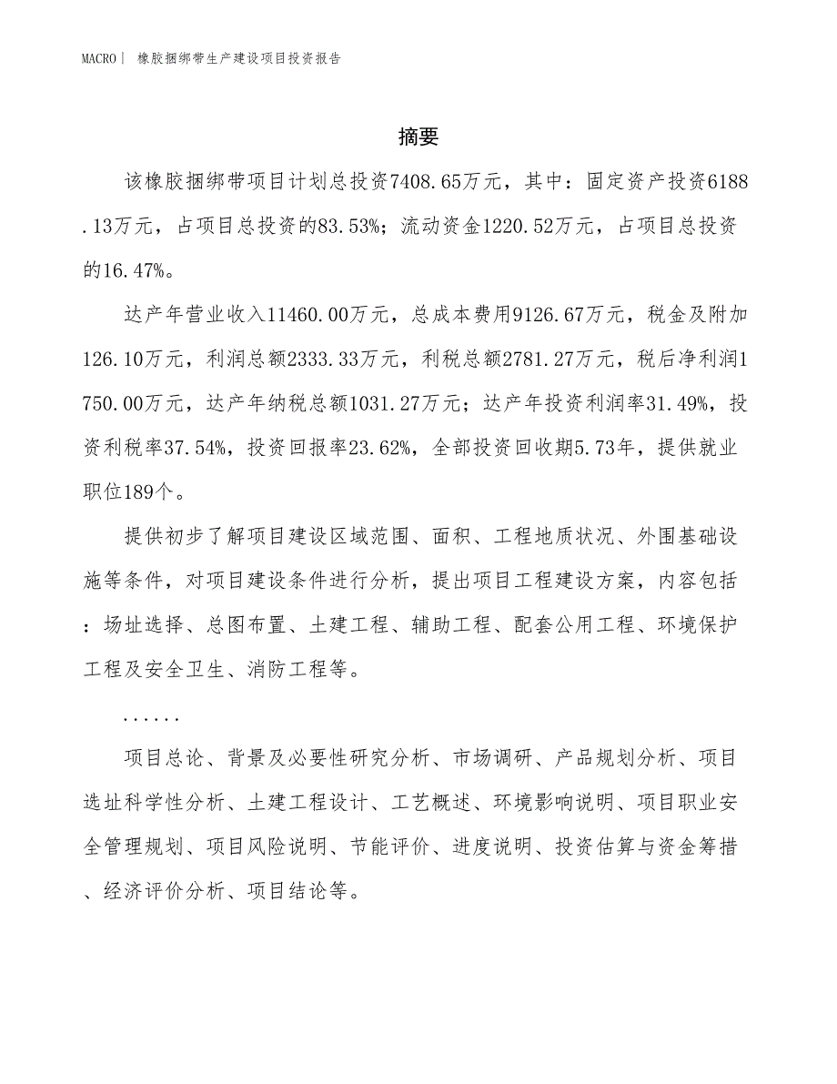 橡胶捆绑带生产建设项目投资报告_第2页