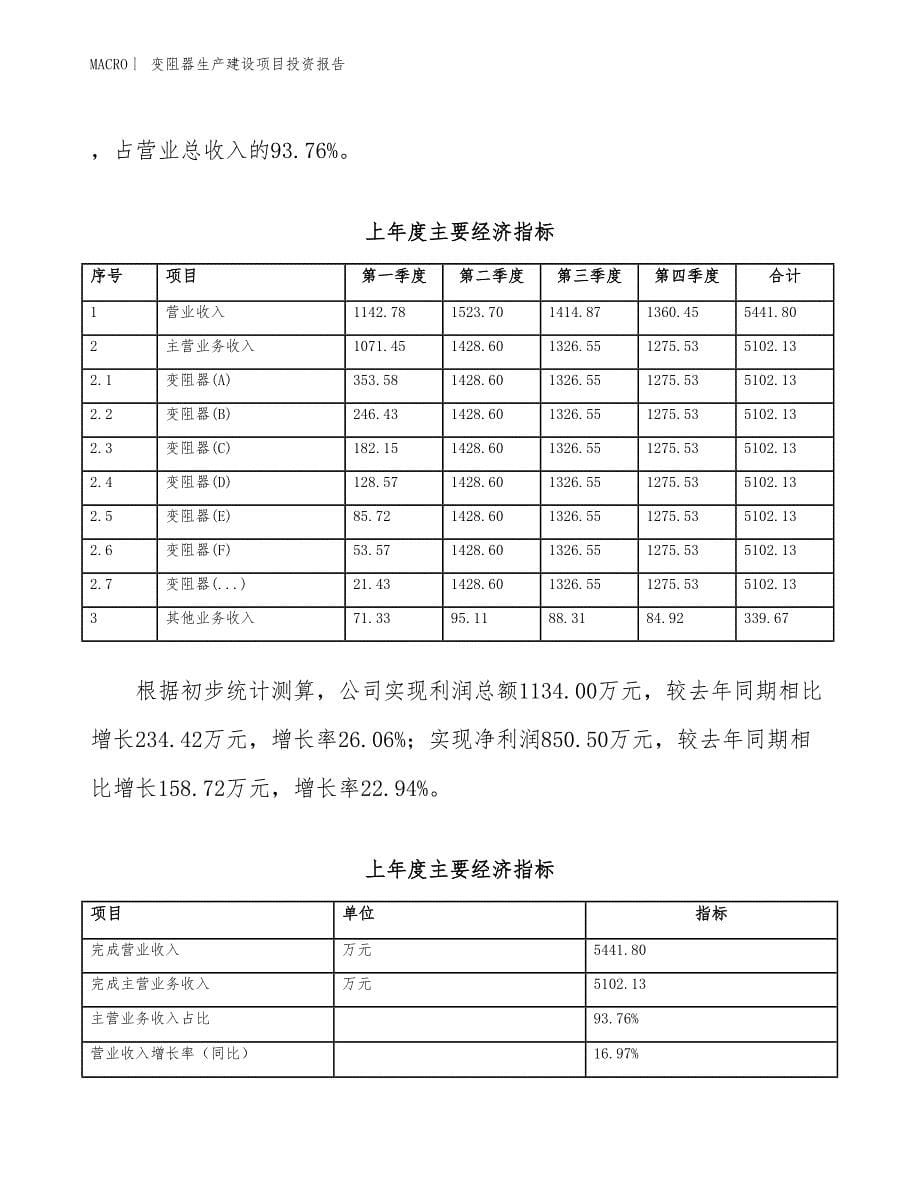 变阻器生产建设项目投资报告_第5页