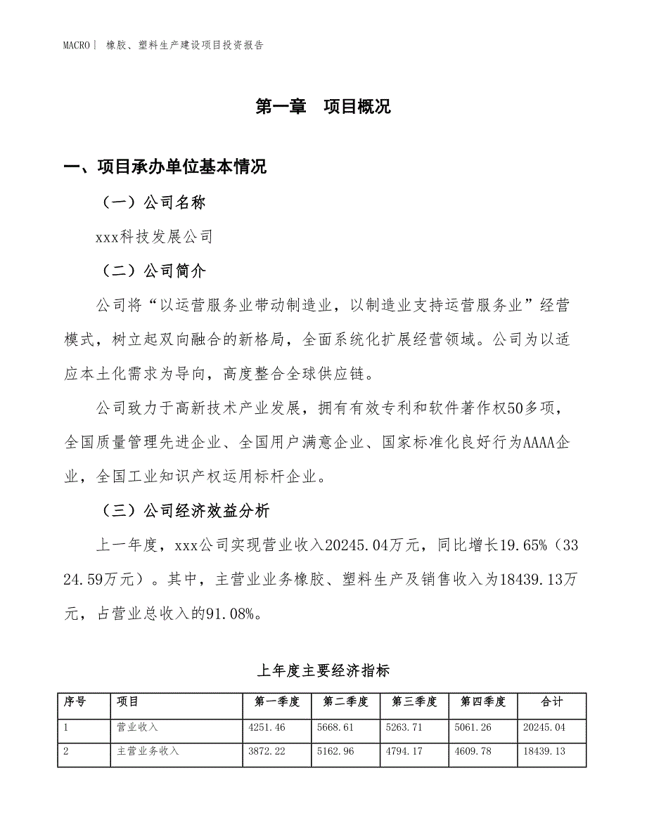 橡胶、塑料生产建设项目投资报告_第4页