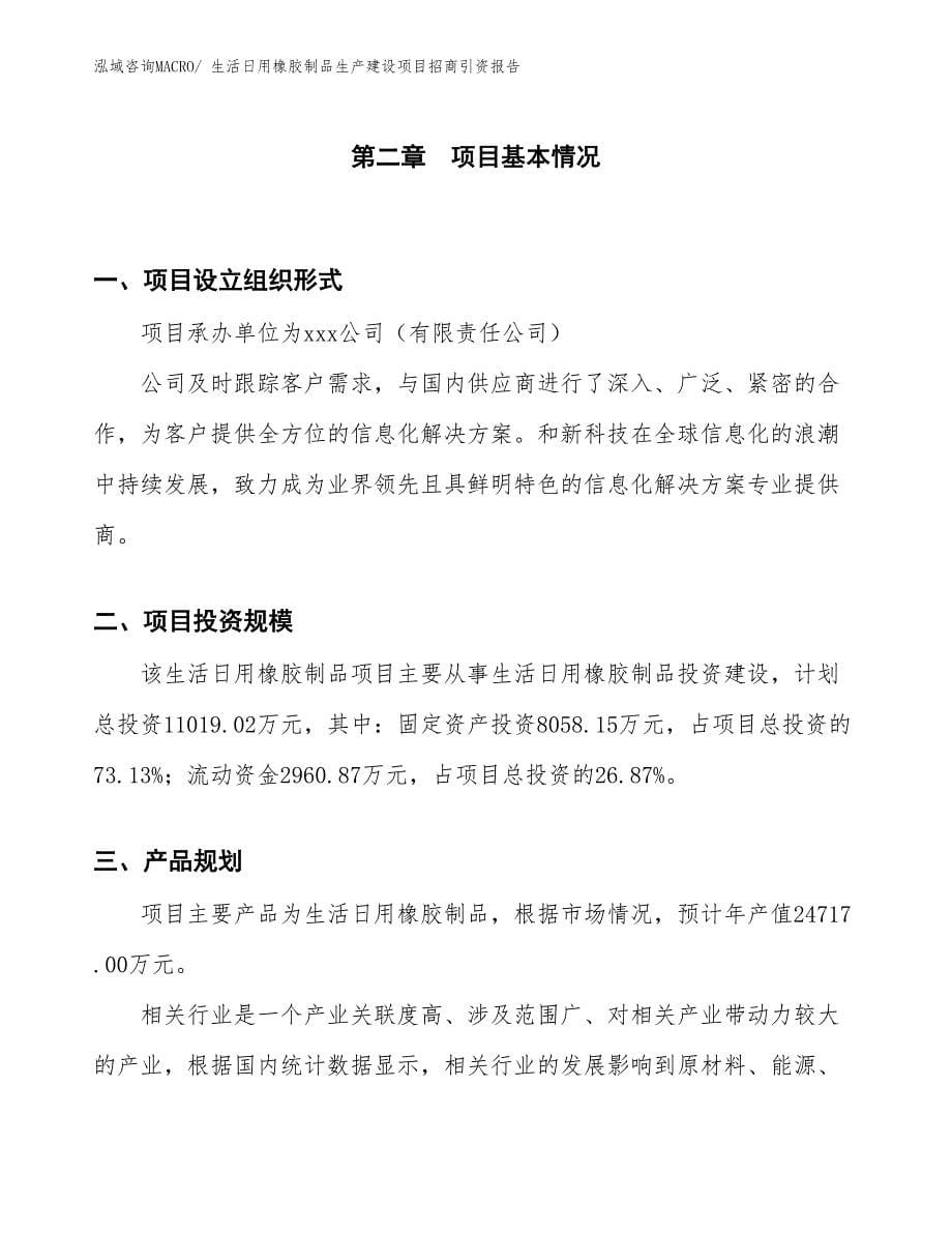 生活日用橡胶制品生产建设项目招商引资报告(总投资11019.02万元)_第5页