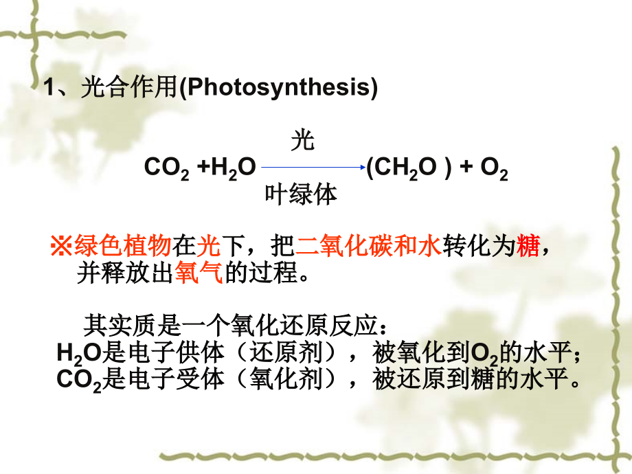 植物生理学-第5章-光合作用_第4页