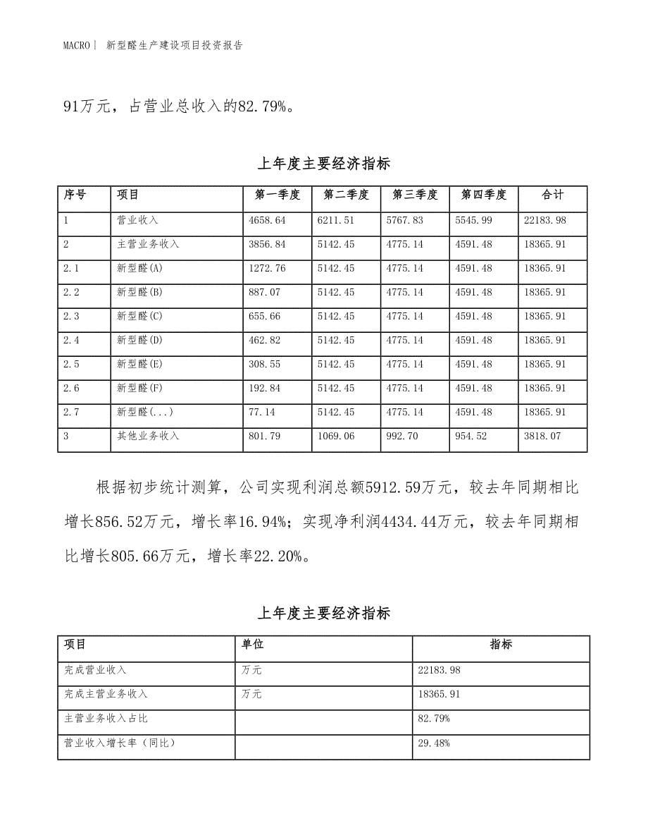 新型醛生产建设项目投资报告_第5页