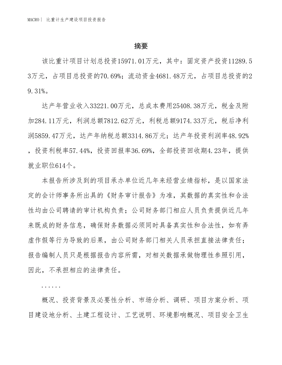 比重计生产建设项目投资报告_第2页