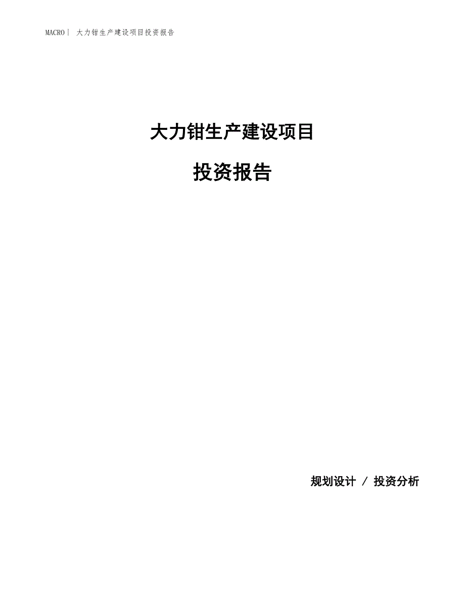 大力钳生产建设项目投资报告_第1页