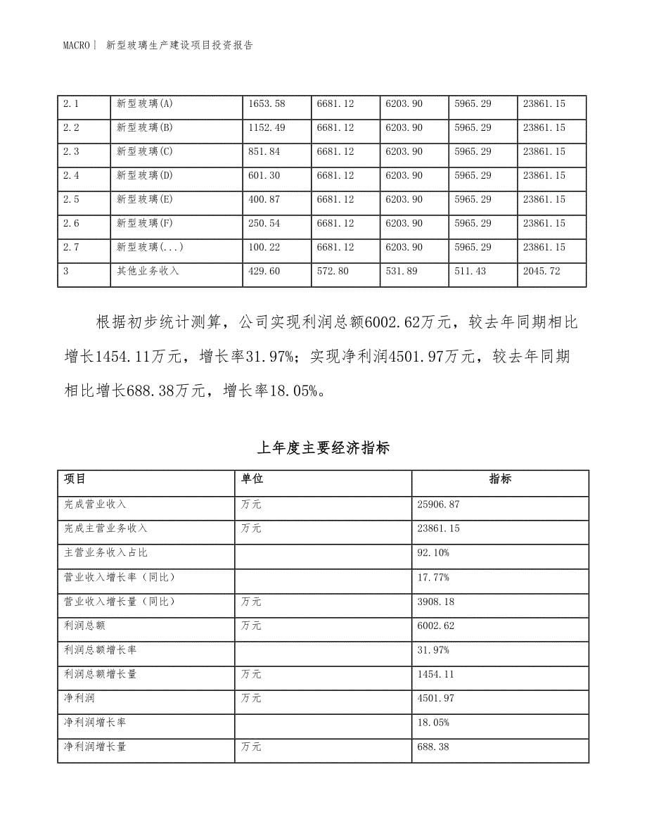 新型玻璃生产建设项目投资报告_第5页