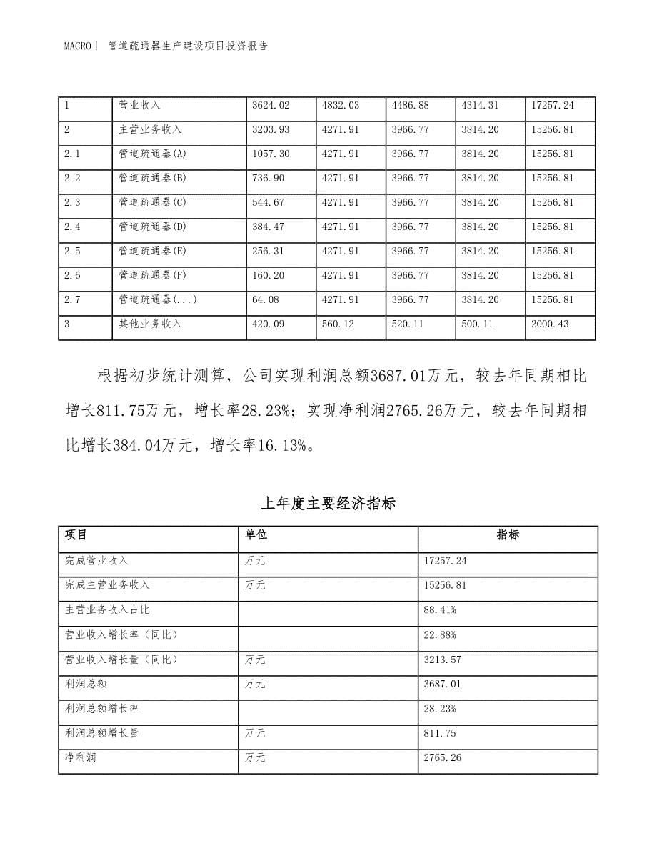 管道疏通器生产建设项目投资报告_第5页