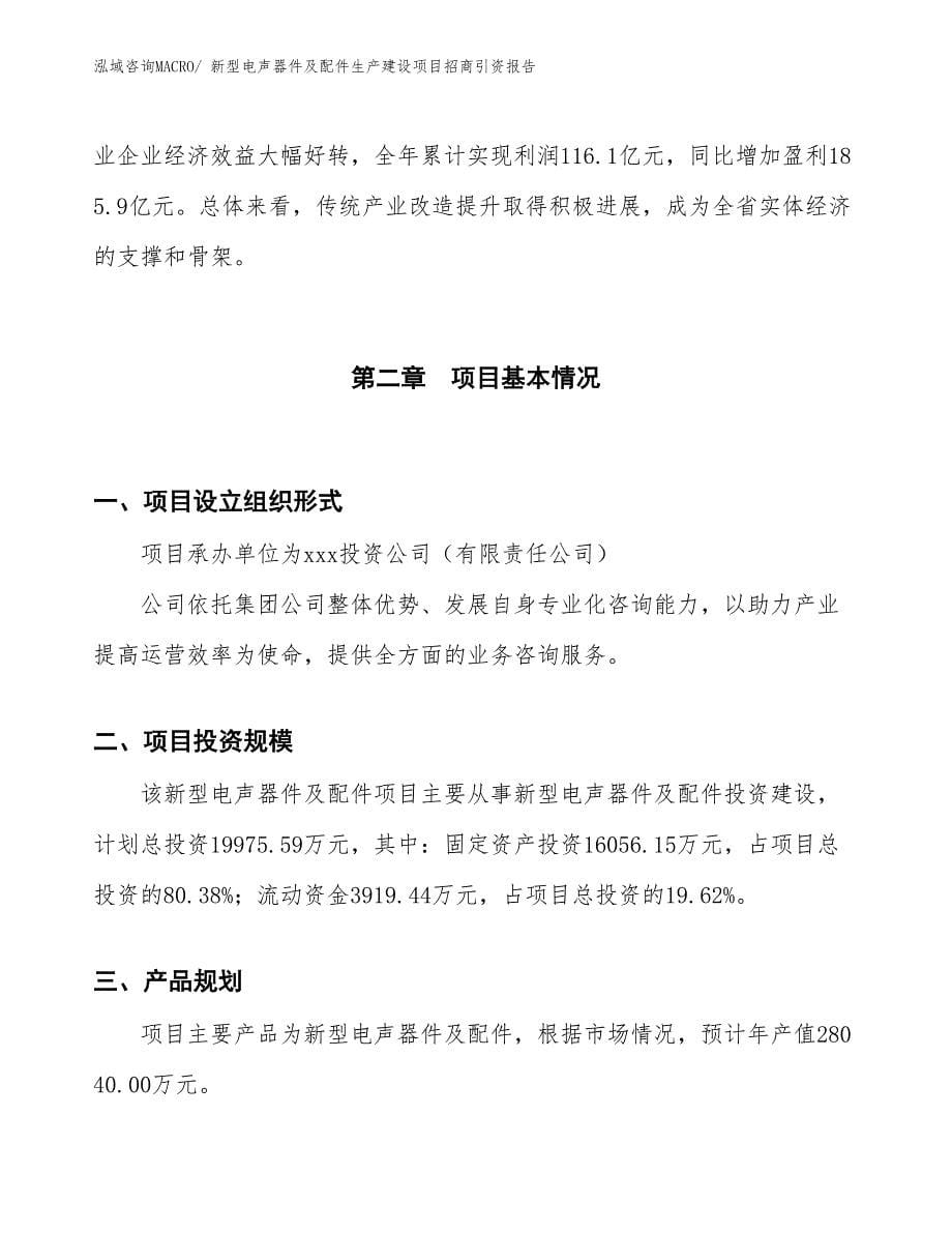 新型电声器件及配件生产建设项目招商引资报告(总投资19975.59万元)_第5页