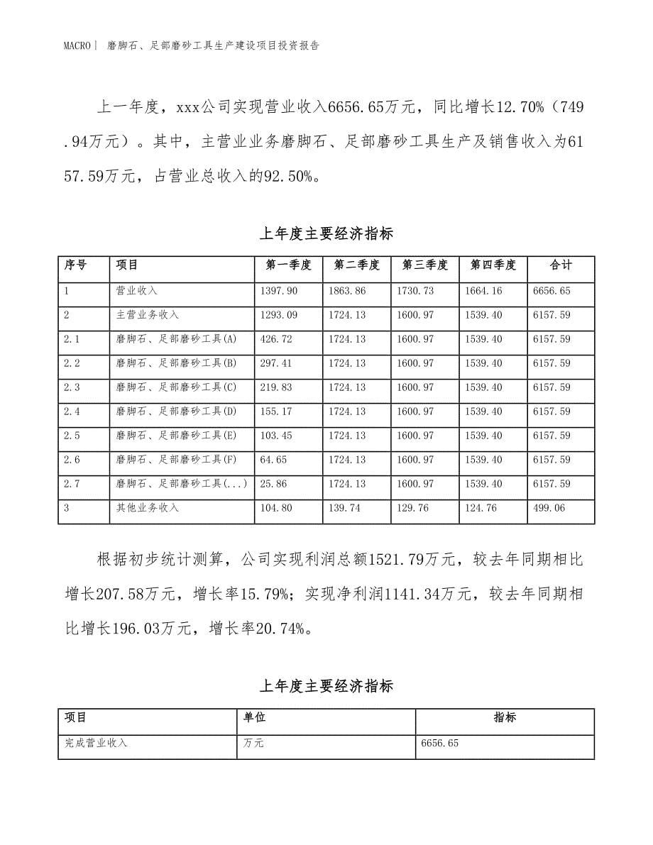 磨脚石、足部磨砂工具生产建设项目投资报告_第5页