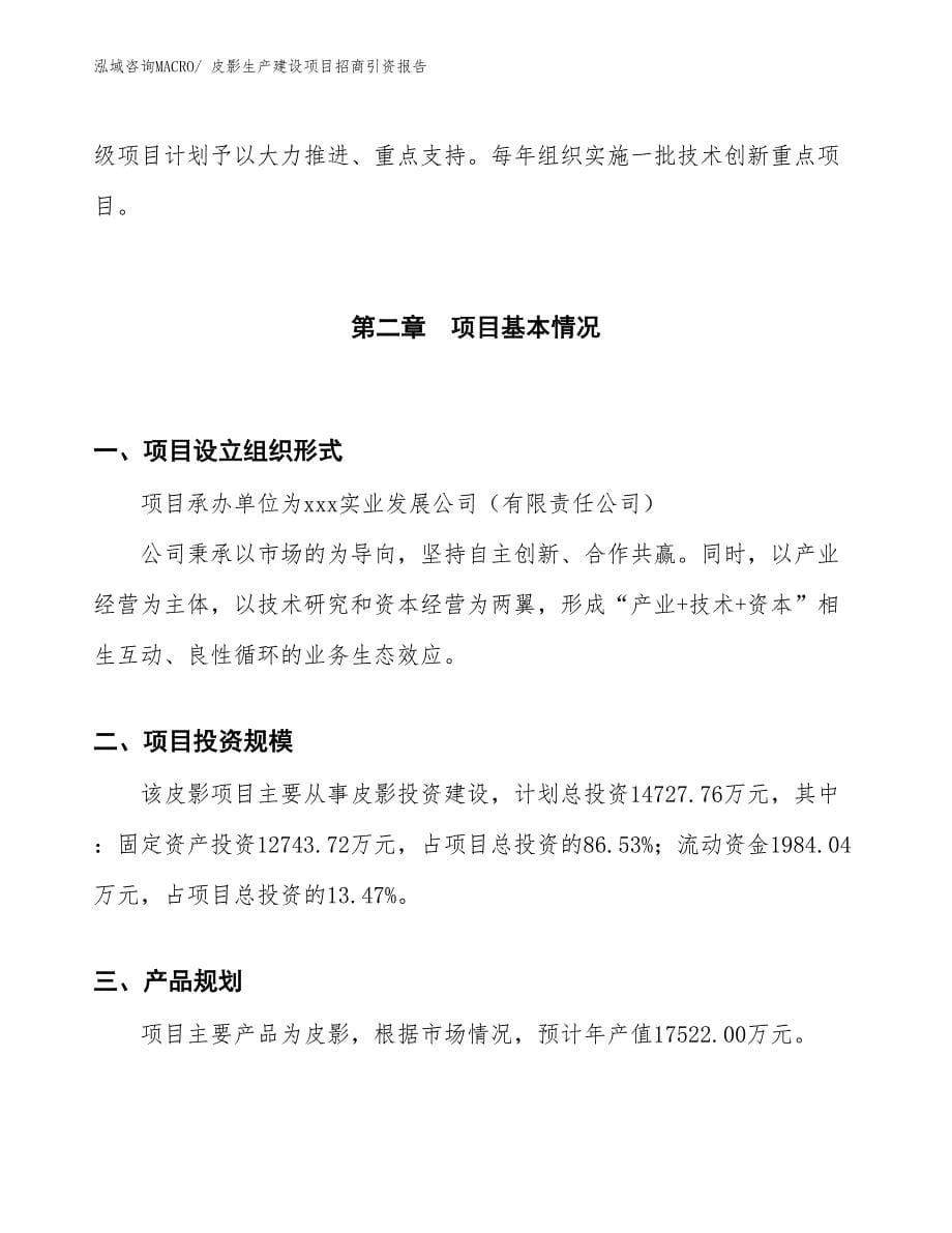 皮影生产建设项目招商引资报告(总投资14727.76万元)_第5页