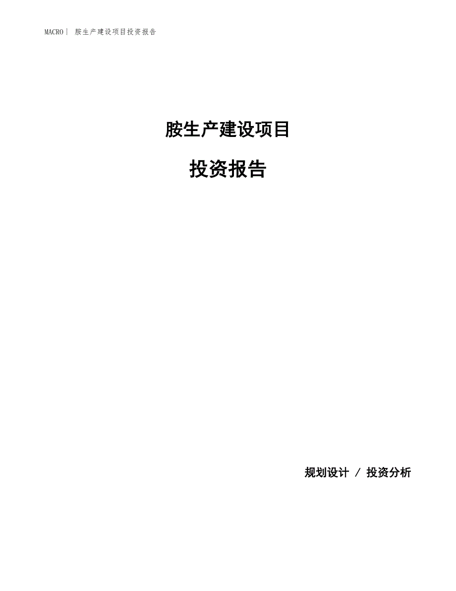 胺生产建设项目投资报告_第1页