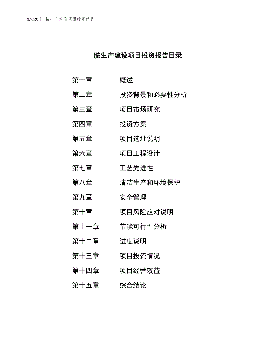 胺生产建设项目投资报告_第3页