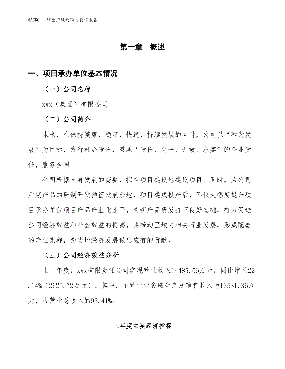 胺生产建设项目投资报告_第4页