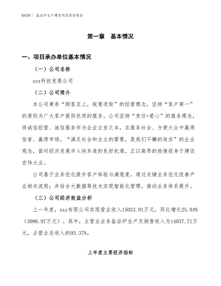 盐浴炉生产建设项目投资报告_第4页