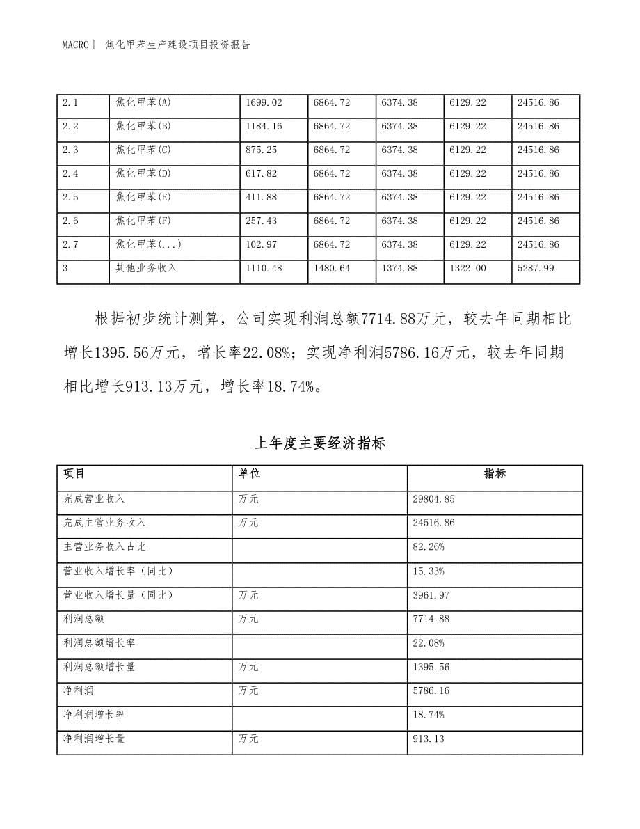 焦化甲苯生产建设项目投资报告_第5页