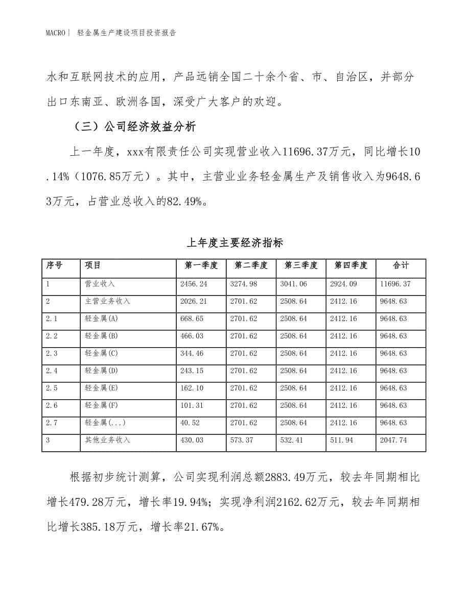 轻金属生产建设项目投资报告_第5页