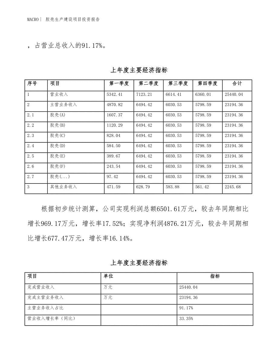 胶壳生产建设项目投资报告_第5页