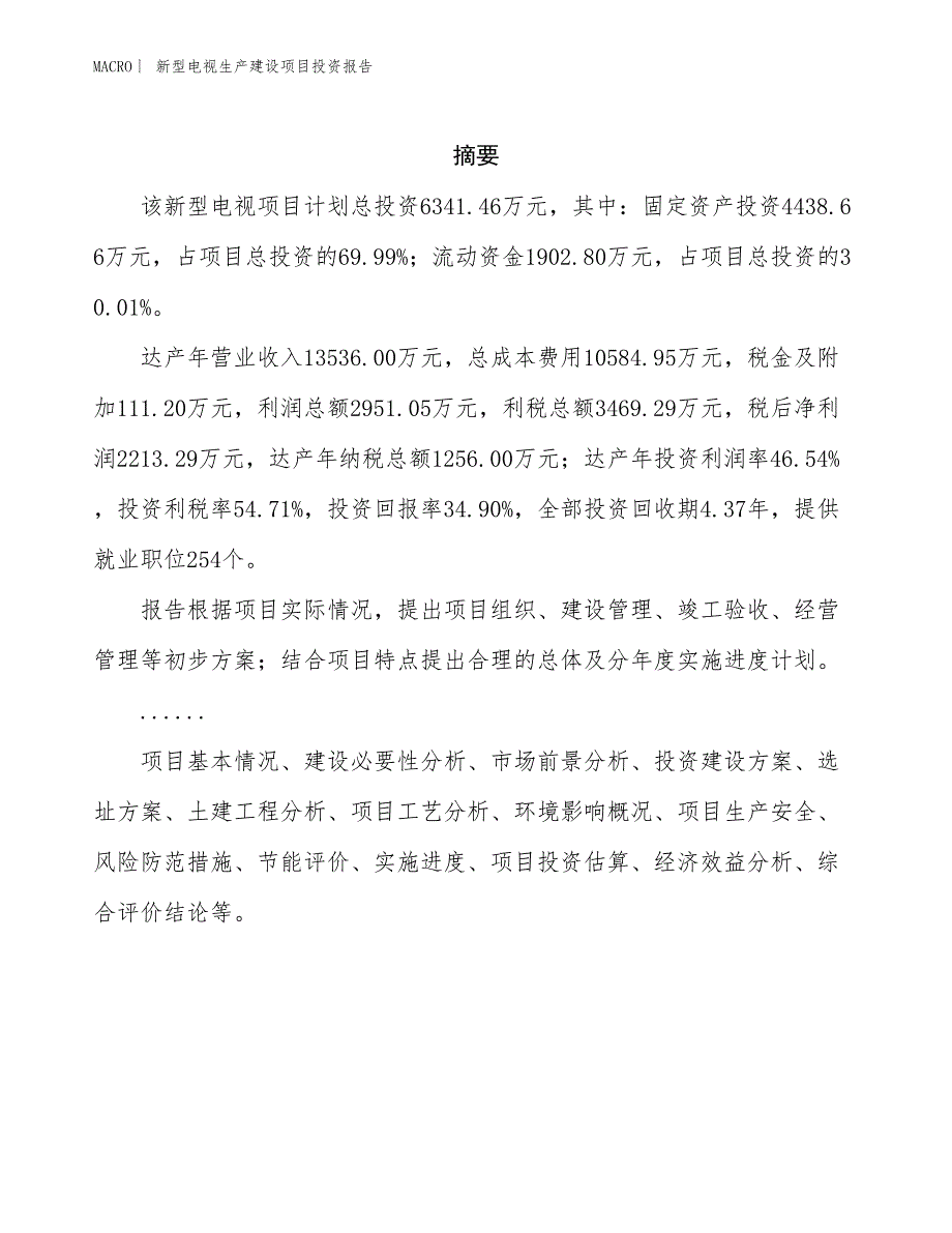 新型电视生产建设项目投资报告_第2页